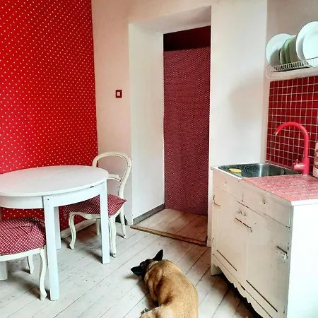 Retro House